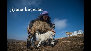 Jiyana Koçeran û Dengbêj Remezanê Silopî