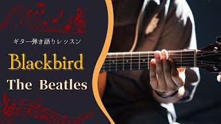 Blackbird弾き語り解説！ギターレッスンで実力アップの秘訣を公開