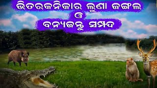 BANADARSHAN || ଭିତରକନିକା ର ଲୁଣା ଜଙ୍ଗଲ ଓ ବନ୍ୟଜନ୍ତୁ ସମ୍ପଦ