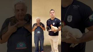 O heroísmo dos policiais da Operação Verão!