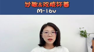 过敏与短双歧杆菌M-16V