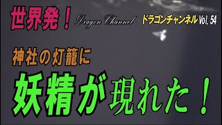 Vol.55世界初！ 神社の灯籠に妖精が現れた！