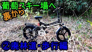 ぶどうスキー場へ裏から行けるかもしれない道探索②廃林道：歩行編　新潟県村上市