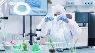 GMO Researcher Looking at Tubes with Sample | Stock Footage - Envato elements