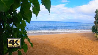 Ocean Ambience on a Tropical Island (Maui) with Relaxing Wave Sound & Beautiful View.