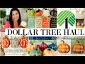 DOLLAR TREE HAUL ((NEW)) FALL FINDS!! 🍁 