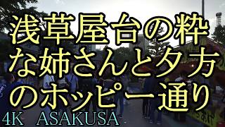 【浅草三社の屋台】浅草寺・屋台の姉さんは美しい・夕方のホッピー通り歩き・浅草観光・東京假期