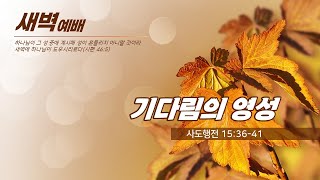 담임목사(양동제일교회) 2023.10.17 새벽예배 [실황]