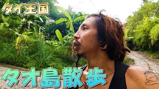 【タイ王国】タオ島をお散歩♪港の近所を探索してみた【のびたび】アラフォーバツ2独身ノマドひとり旅暮らし