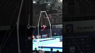 Dmitry Lankin (Russia) SR QF 2019 European Championships