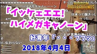 PUBGで知り合った少年に「ハイメガキャノン」言ってみるシーン【2018/04/04】