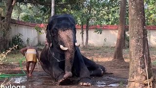 തിരുവല്ല ജയരാജൻ നീര് കാലത്തിന് ശേഷം പുതിയ സീസണിലേക്ക്🥰