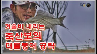 [세모낚TV]영산강 상류 죽산보의 만수위 겨울철 대물붕어 공략/ 겨울비/해결사의 대물속공낚시 90화/비바붕어 박현철, 바낙스, 무아작, 중앙어수라상사/월척 붕어