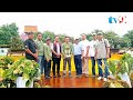 ppbi gelar pameran dan kontes bonsai nasional piala walikota mataram