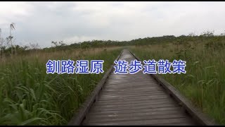 釧路湿原のなかを歩く遊歩道　北海道の旅