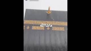 #Khana Kaba#Allah ka ghar#Rain in Makkah#Rain in Kaba#Beautiful Kaba#