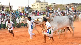 2021-Ongole Bull Race-KANURU-(SUB-JUNIORS)-4th-D.V.R. MEMORIAL(COMBINES)K.SHIVA NAGIREDDY-3202.01