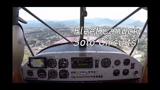 Fleet Canuck Solo Circuits