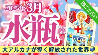 【水瓶座3月】決断と勝負‼️大アルカナが導く解放された世界🌏❤️✨🔮🧚タロット\u0026オラクル《週ごと》