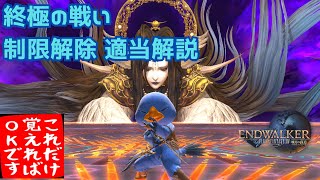 【FF14】終極の戦い 制限解除 適当解説【パッチ7.05】極 終焉の戦い