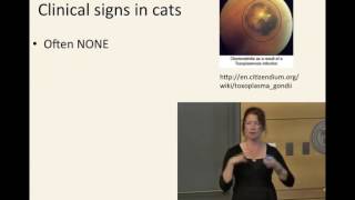 Toxoplasmosis: Truth, Fiction, and Crazy Cat Ladies? 6. Clinical Signs