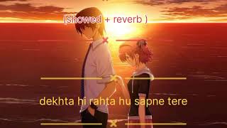 dekhta hi rahta hu sapne tere slowed reverb