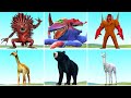 EVOLUTION OF NEW ALL ZOOCHOSIS MUTANT ANIMALS in Garry's Mod !