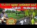 நான் வியந்த சுவிஸ் அண்ணாவின் பண்ணை | Organic farm | vanni vlog