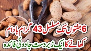 A  Magic Benefit of Eating 43 grams of Almonds continuously for 6 weeks