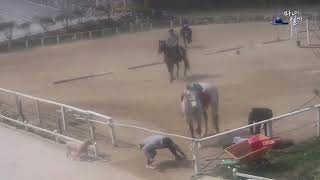 Horse Falls, falls and fails , fall-off, pferd, 승마 구보 ,습보 낙마 , 낙마영상 모음 , 승마장애물 낙마