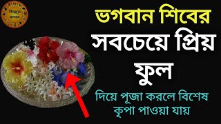 ভগবান শিবের সবচেয়ে প্রিয় ফুল। Most auspicious flower to offer Lord Shiva