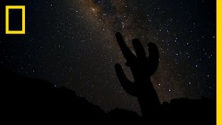 Glorious Starscapes | Untamed Americas