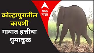 Kolhapur | कोल्हापुरातील कापशी गावात हत्तीचा धुमाकूळ; नागरिकांच्या गोंधळामुळे हत्ती बिथरला