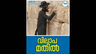 വിലാപ മതിൽ #supportisrael #israel #israelnews #heavenlytvofficial