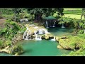 Weekacura Waterfall Sumba - Tree of Life