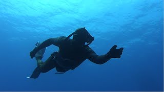 Ταξίδι και Ψαροντούφεκο στην Ελλάδα | Spearfishing the Aegean 🇬🇷 ✔