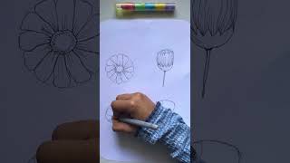 How to draw flower ✨#shorts #artist #flowers #mufeedart