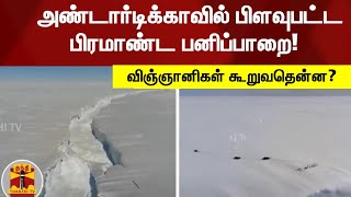 அண்டார்டிக்காவில் பிளவுபட்ட பிரமாண்ட பனிப்பாறை! - விஞ்ஞானிகள் கூறுவதென்ன?