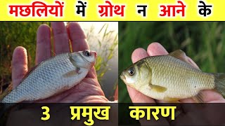 तालाब के मछलियों में ग्रोथ न आने के तीन प्रमुख कारण || Fish Farming