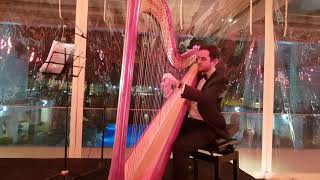 0544292839 The best Israeli harpist for your party