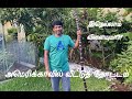 🇺🇲 HOME GARDEN TOUR | அமெரிக்காவில் நம்ம ஊரு தோட்டமா | Tropical Plants | Mangos | Sugarcane