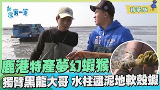 台灣第一等【鹿港特產蝦猴 獨臂黑龍大哥水柱逮夢幻軟殼蝦猴】_41集精華版