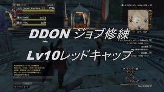 DDONジョブ修練 Lv10レッドキャップ