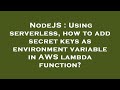NodeJS : Using serverless, how to add secret keys as environment variable in AWS lambda function?