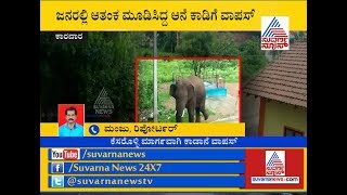 Wild Elephants Create Ruckus In Karwar Near Haliyal