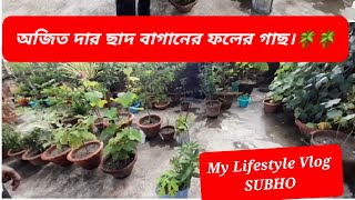 অজিত দার ছাদ বাগানের ফলের গাছ।🪴🪴🍇🍊🥭🌶🍈🍌🍆#bengalivlog #gardenvlog ©️SUBHO  ❤Like, share andSubscribe