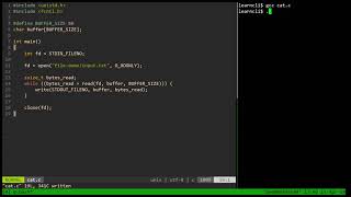 37.3 - Implementing a Simple cat Program