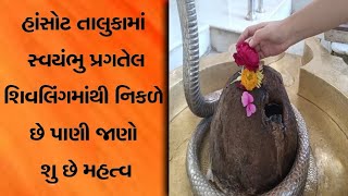 રેવાનાં સંગમ તિર્થે એક, બે નહીં, પણ પાંચ સ્વયંભુ શિવલીંગ, જાણો શુ છે મહત્વ