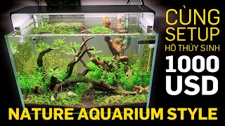 Cùng setup hồ thủy sinh Nature aquarium style, siêu xịn sò hơn 1000USD - Quoidecor