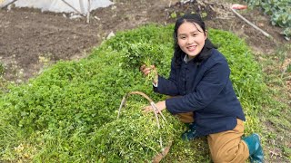 Planting fruit trees on Arbor Day,picking grass to make soup,YiKe’s expression brightens!